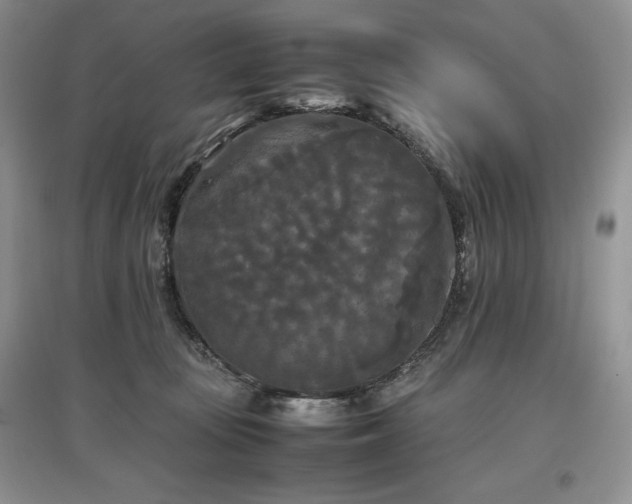 X0000097600371200803071434