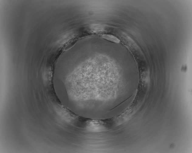 X0000097600372200803071434