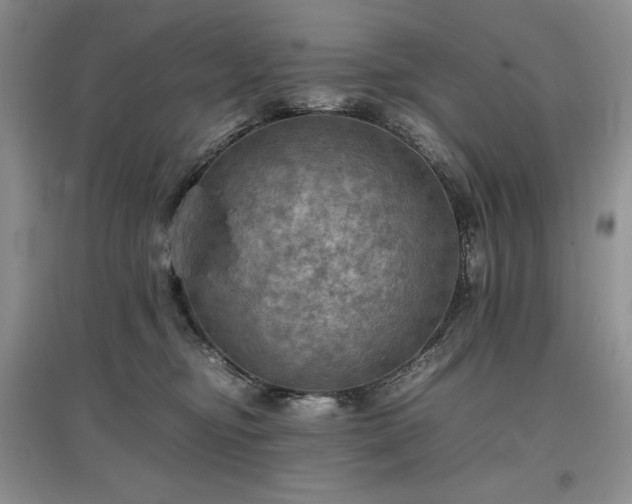 X0000097600374200803071434