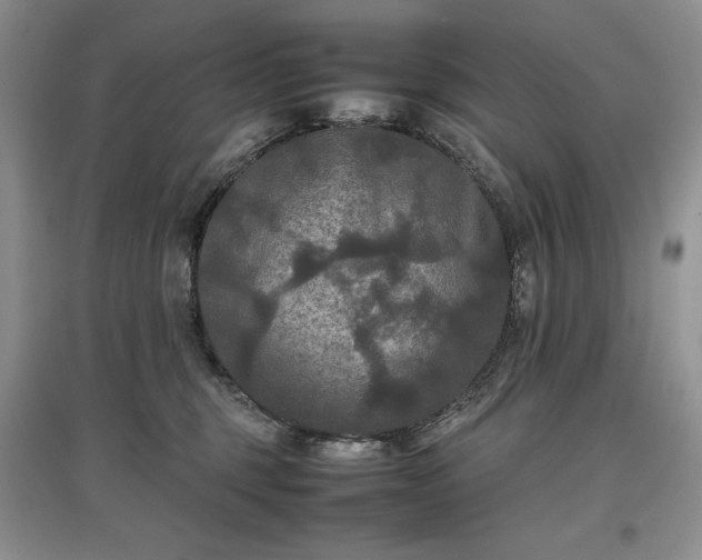 X0000097600375200803071434
