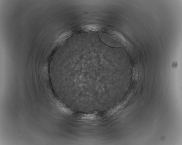 X0000097600377200803071434