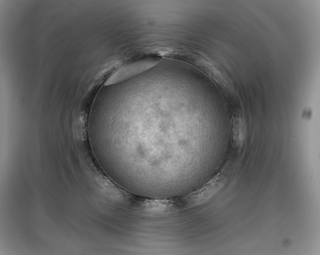 X0000097600378200803071434