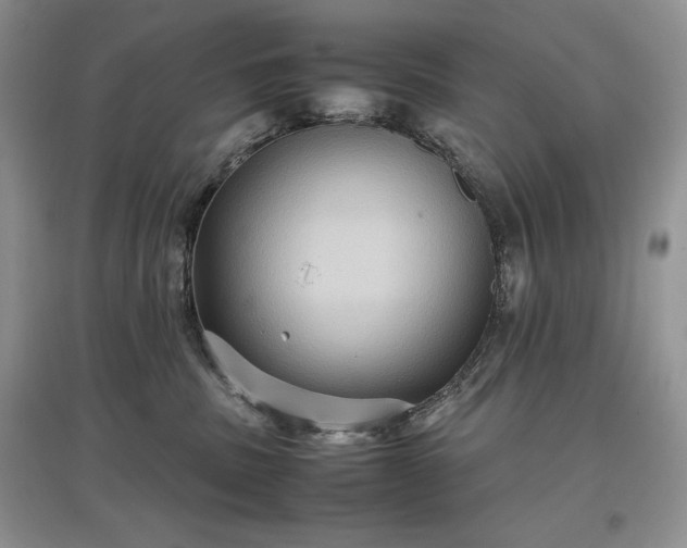X0000097600379200803071434