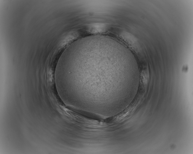 X0000097600380200803071434