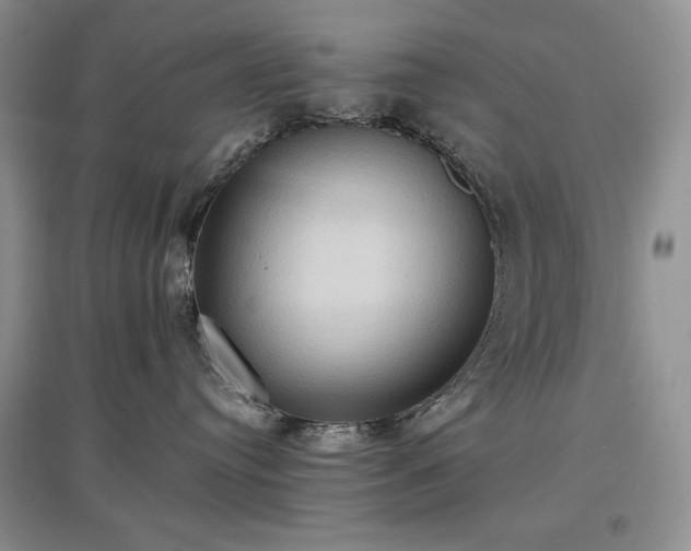 X0000097600384200803071434