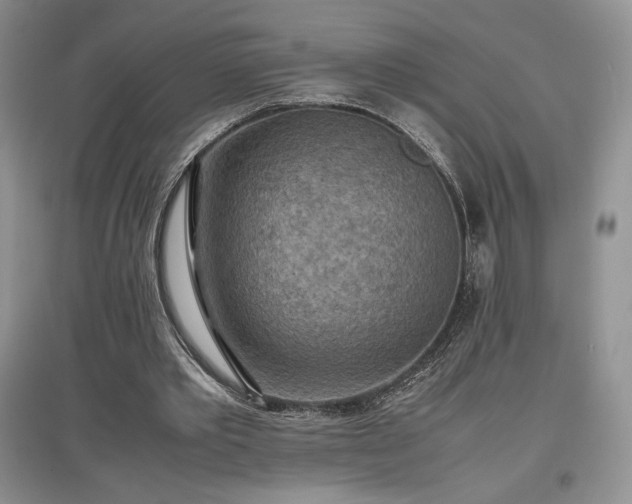 X0000097600389200803071433