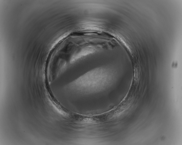 X0000097600390200803071433