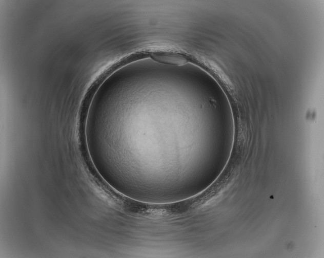X0000097600391200803071433