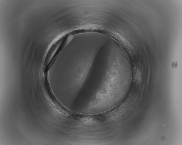 X0000097600392200803071433