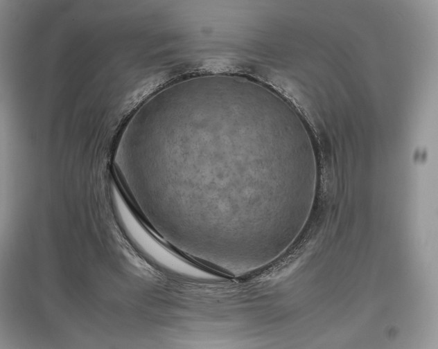 X0000097600393200803071433