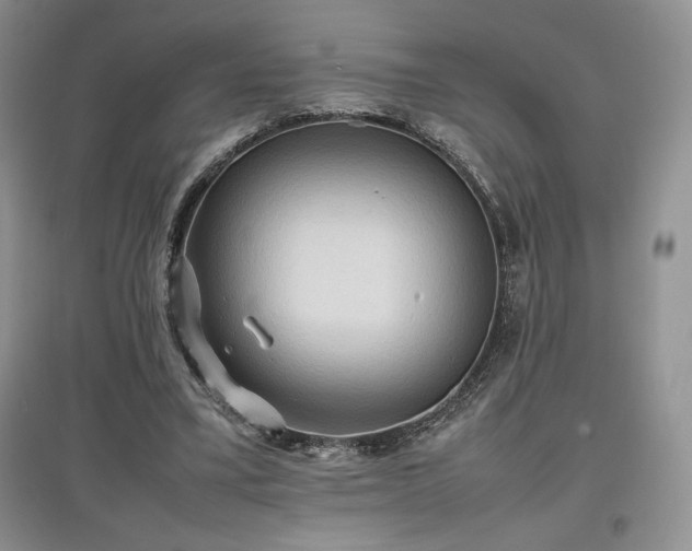 X0000097600395200803071433