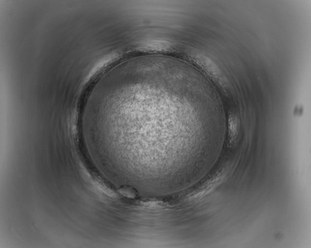 X0000097600396200803071433