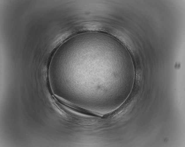 X0000097600397200803071433