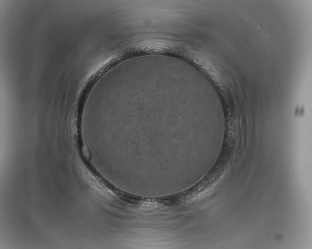 X0000097600399200803071433