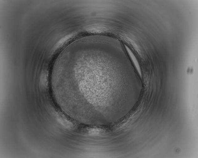 X0000097600400200803071433