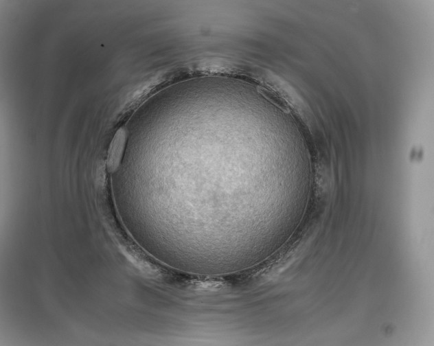 X0000097600401200803071433