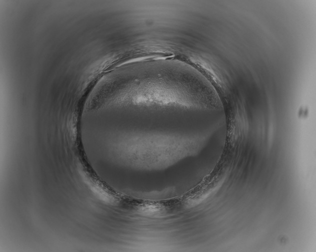 X0000097600402200803071433