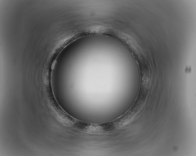 X0000097600403200803071433