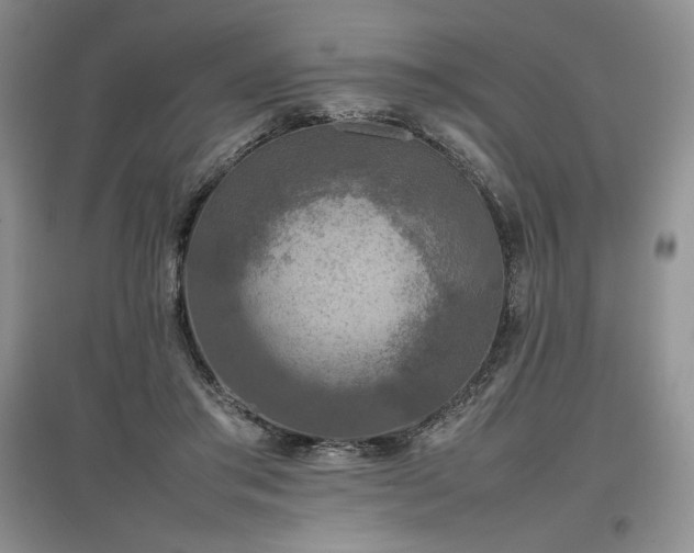 X0000097600405200803071433