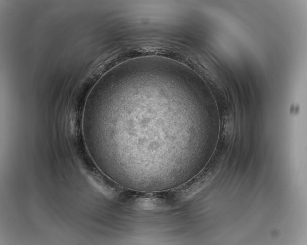 X0000097600408200803071433