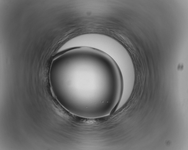 X0000097600409200803071433
