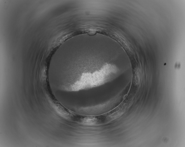 X0000097600410200803071433