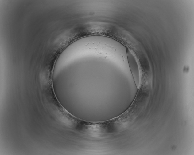 X0000097600411200803071433
