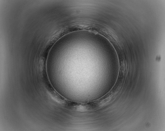 X0000097600412200803071433
