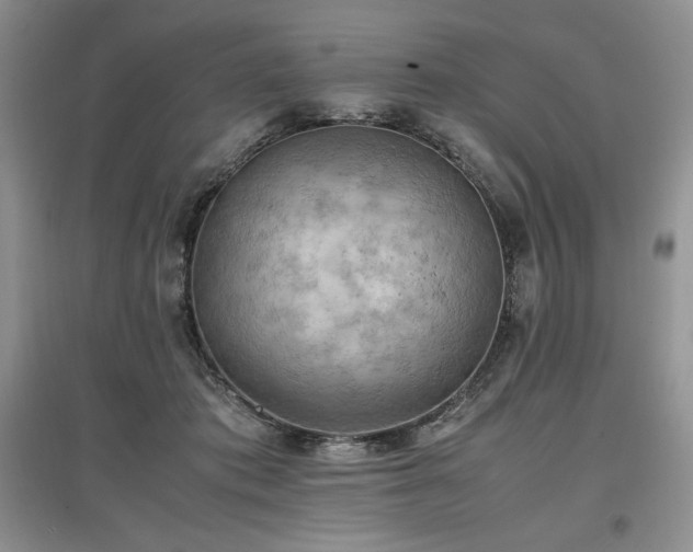 X0000097600413200803071433