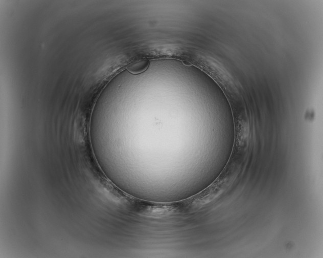 X0000097600414200803071433