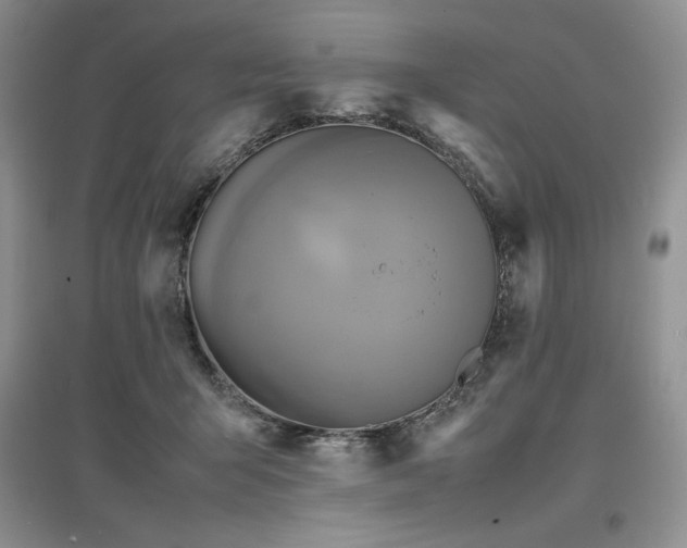 X0000097600415200803071433