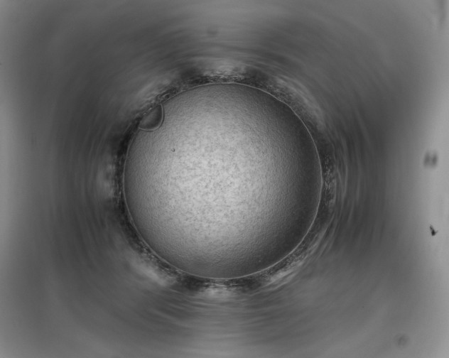 X0000097600416200803071433