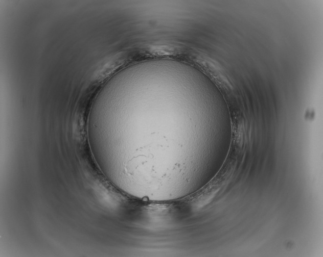 X0000097600418200803071433