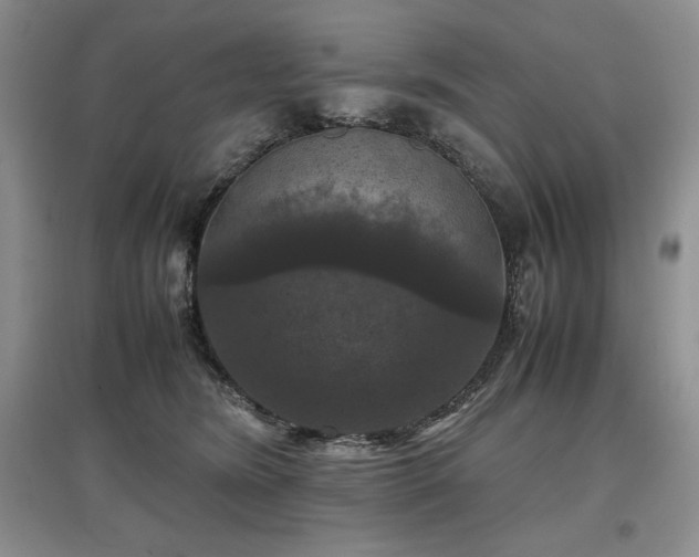 X0000097600420200803071433
