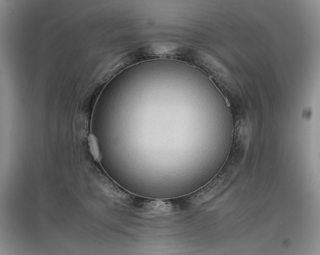 X0000097600421200803071433