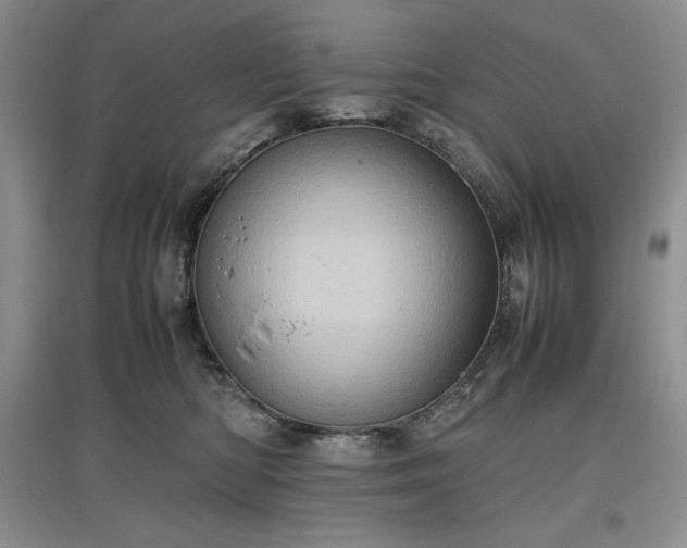 X0000097600422200803071433