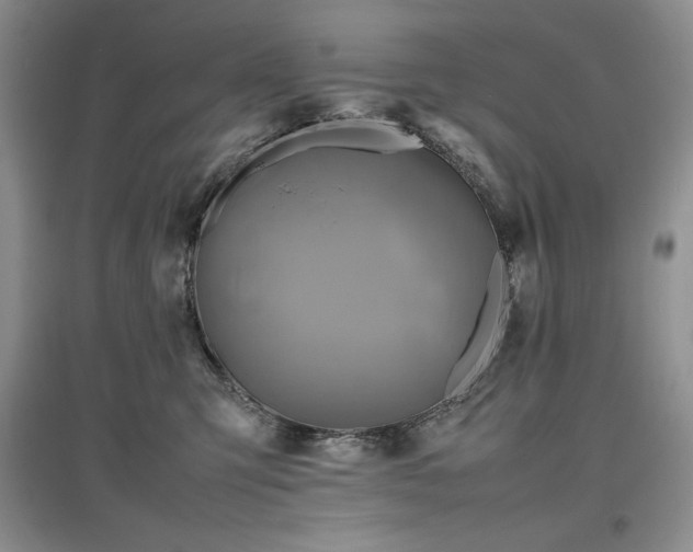 X0000097600423200803071433