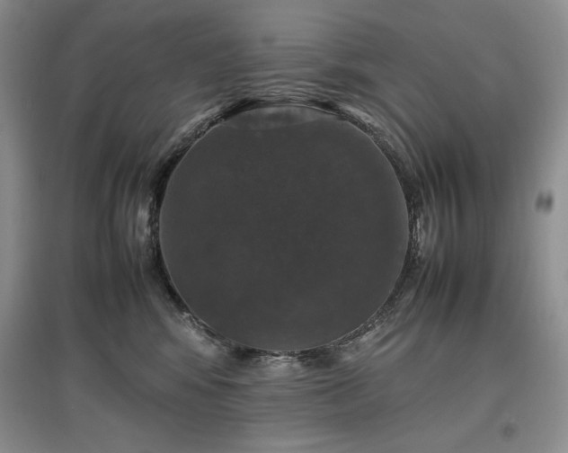 X0000097600424200803071433