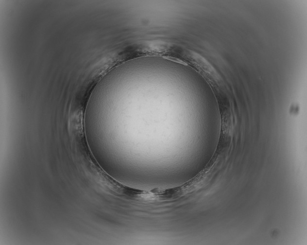X0000097600425200803071433