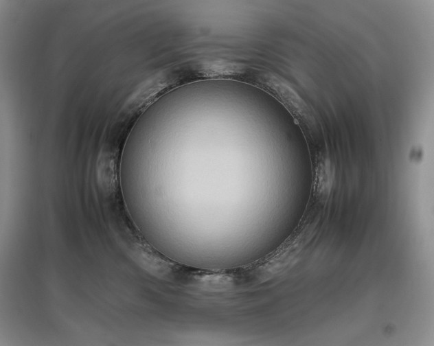 X0000097600426200803071433