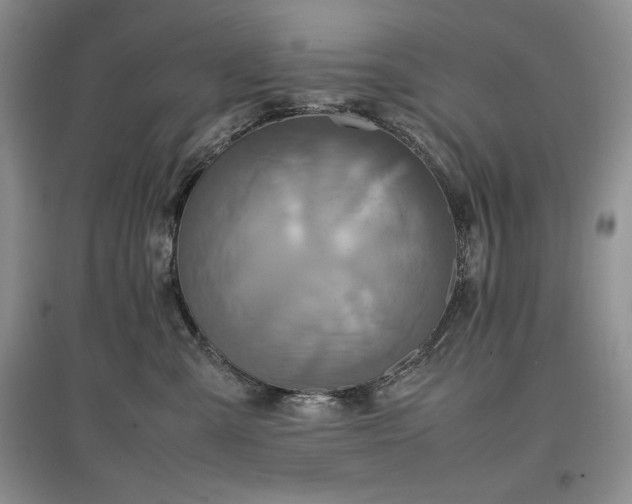 X0000097600427200803071433