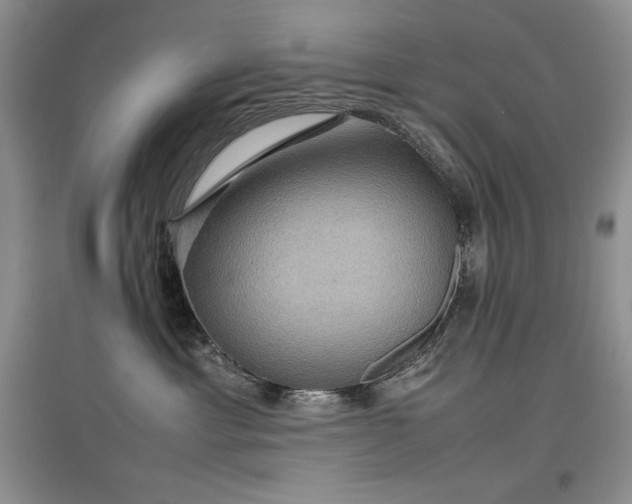 X0000097600429200803071433
