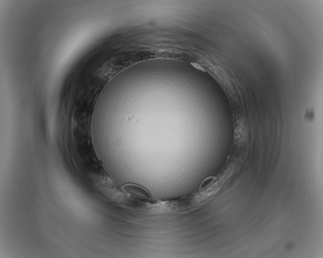 X0000097600430200803071433