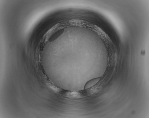 X0000097600431200803071433