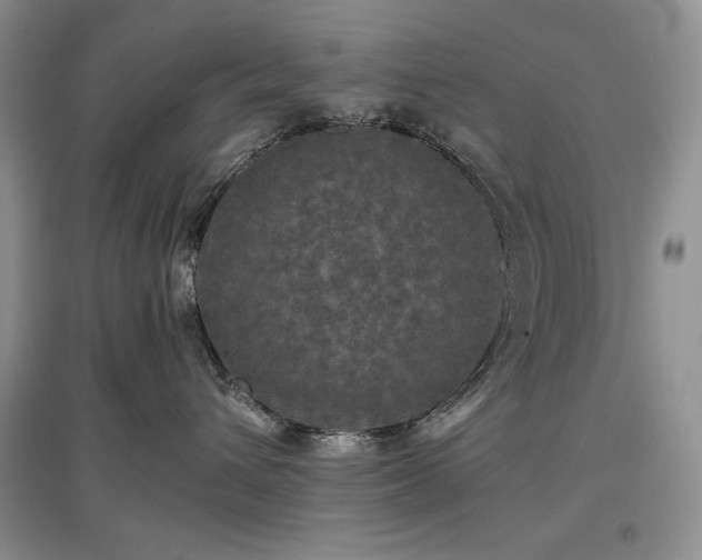 X0000097600432200803071433