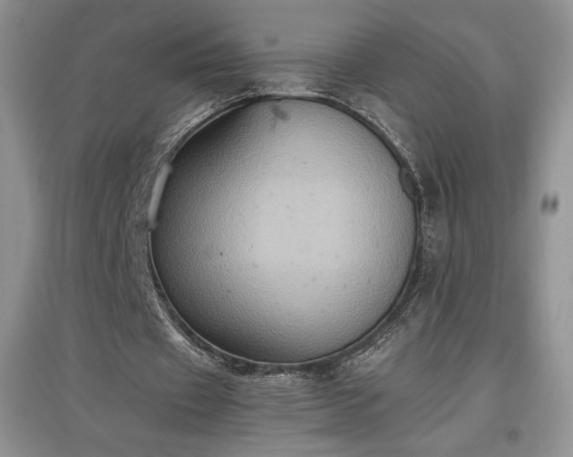 X0000097600433200803071432