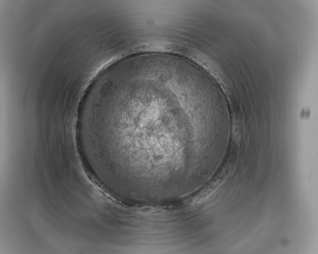X0000097600434200803071432