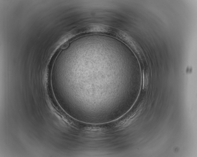 X0000097600435200803071432