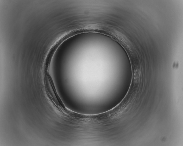 X0000097600436200803071432