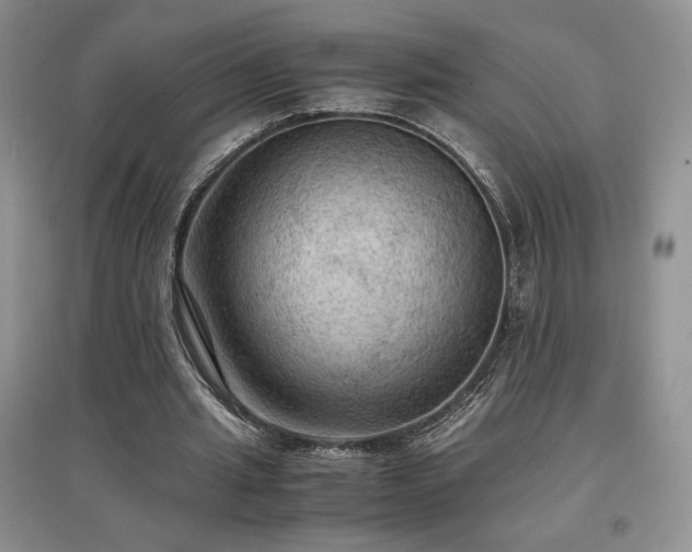 X0000097600437200803071432